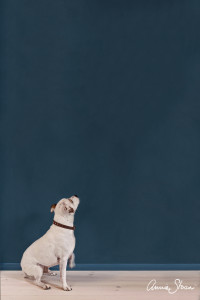 as-wallpaint_aubusson_896_1